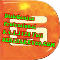 DiskGenius Professional 5.4.1.1178