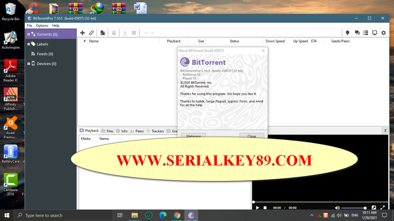 instal the new version for windows BitTorrent Pro 7.11.0.46829