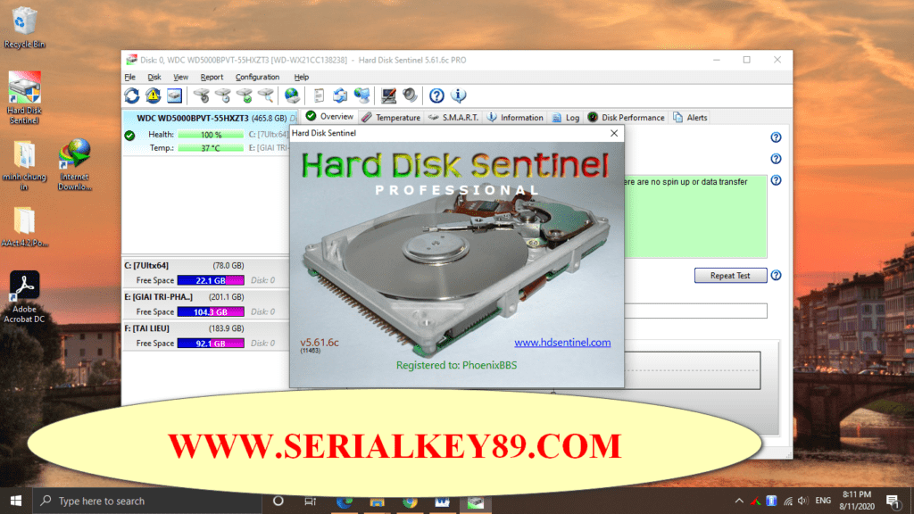 Hard Disk Sentinel Pro 5.61.6 Beta