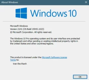 Windows 10 Version 21H1