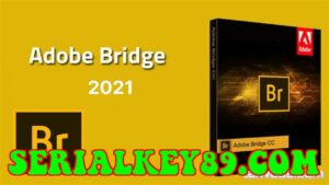 Adobe Bridge CC 2021 v11.0.2.12355