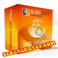 Burp Suite Professional 2021.4.2