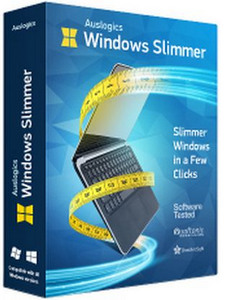 Auslogics Windows Slimmer Professional 3.1