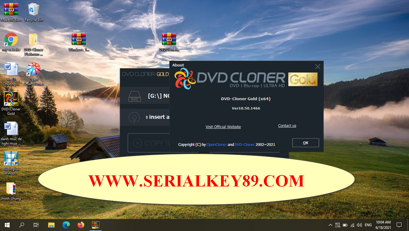 DVD-Cloner Gold 2021 18.50.1466