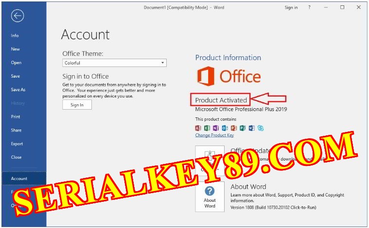 Microsoft office 2019 v16.0.13127.206160