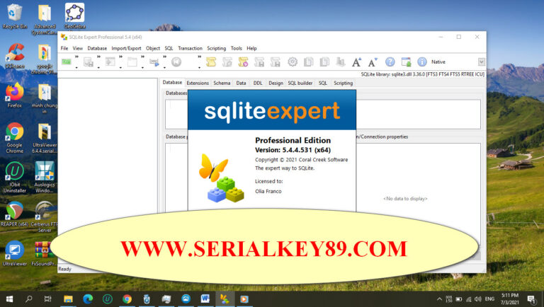 SQLite Expert Professional 5.4.62.606 instal the new version for windows