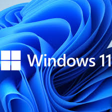 windows 11 insider logo