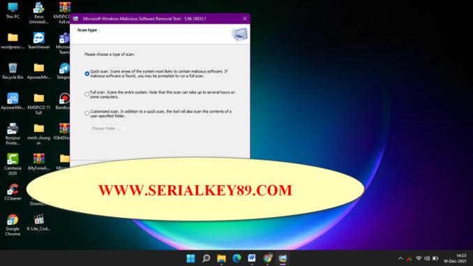 Microsoft Malicious Software Removal Tool 5.96