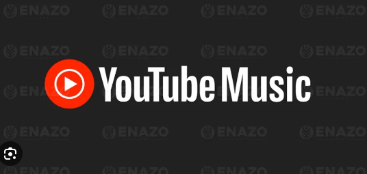 YouTube-Music MOD